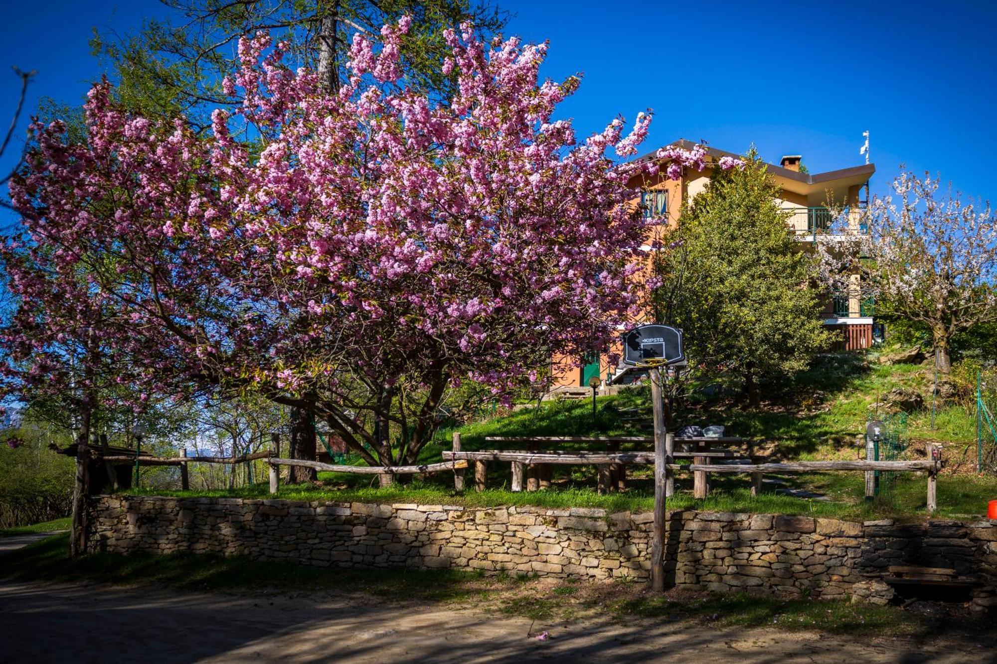 B&B Pian Savin Giaveno ภายนอก รูปภาพ